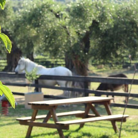 Honigtal Farmland Villa Ájosz Jeórjosz Págon Kültér fotó