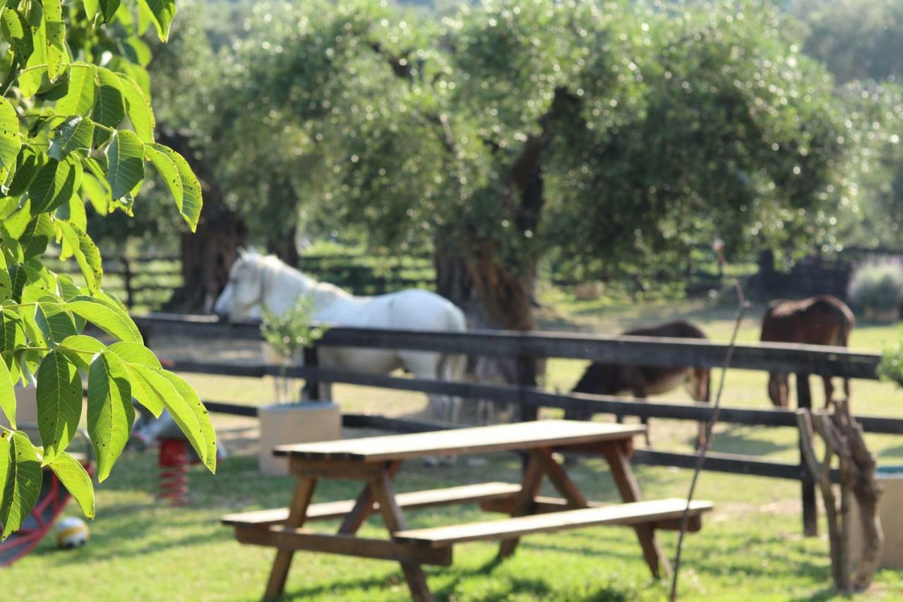 Honigtal Farmland Villa Ájosz Jeórjosz Págon Kültér fotó