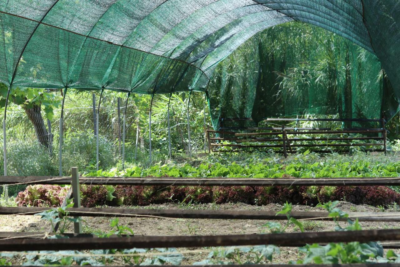 Honigtal Farmland Villa Ájosz Jeórjosz Págon Kültér fotó
