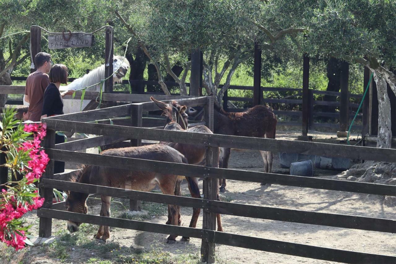 Honigtal Farmland Villa Ájosz Jeórjosz Págon Kültér fotó