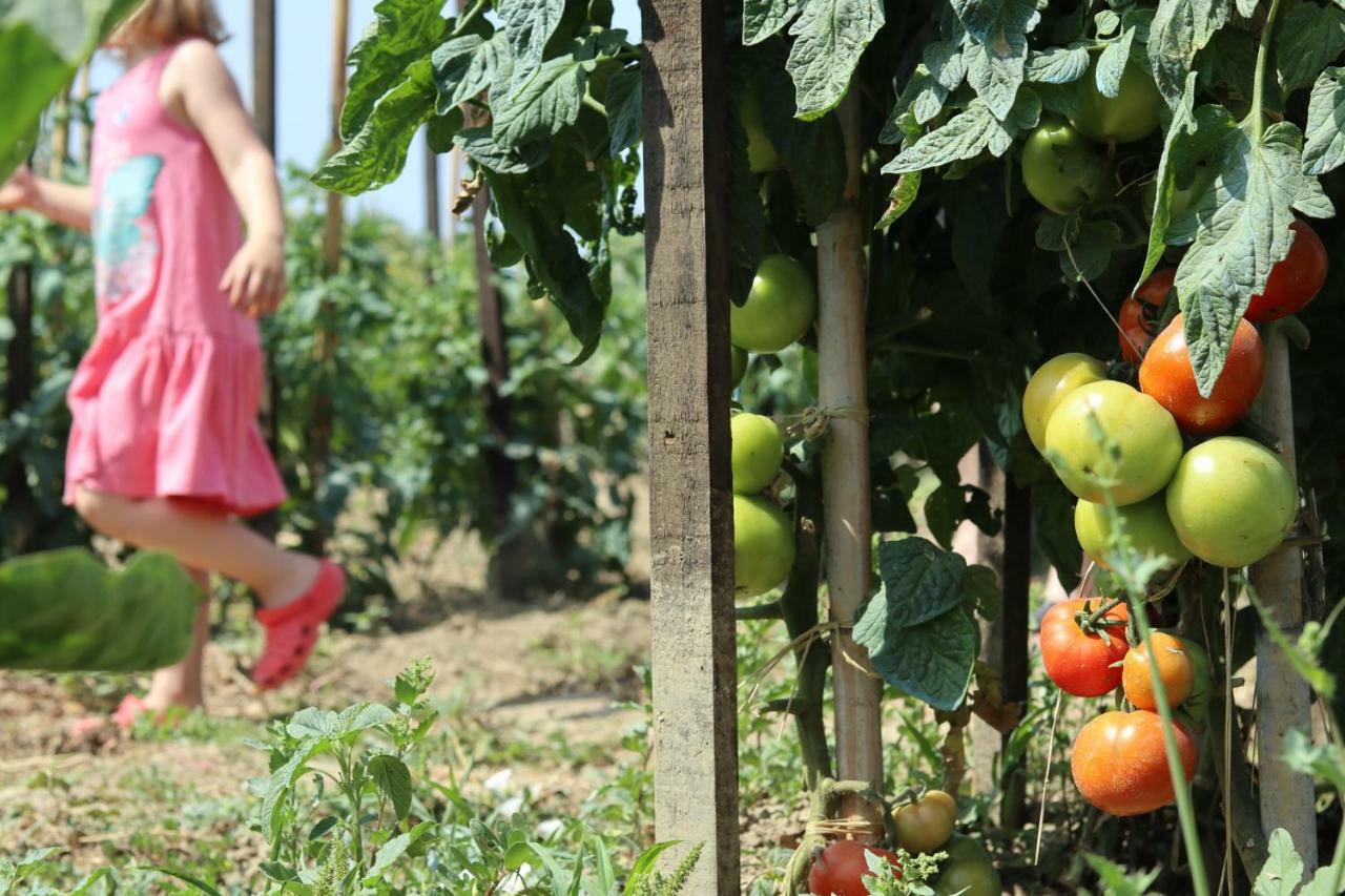 Honigtal Farmland Villa Ájosz Jeórjosz Págon Kültér fotó