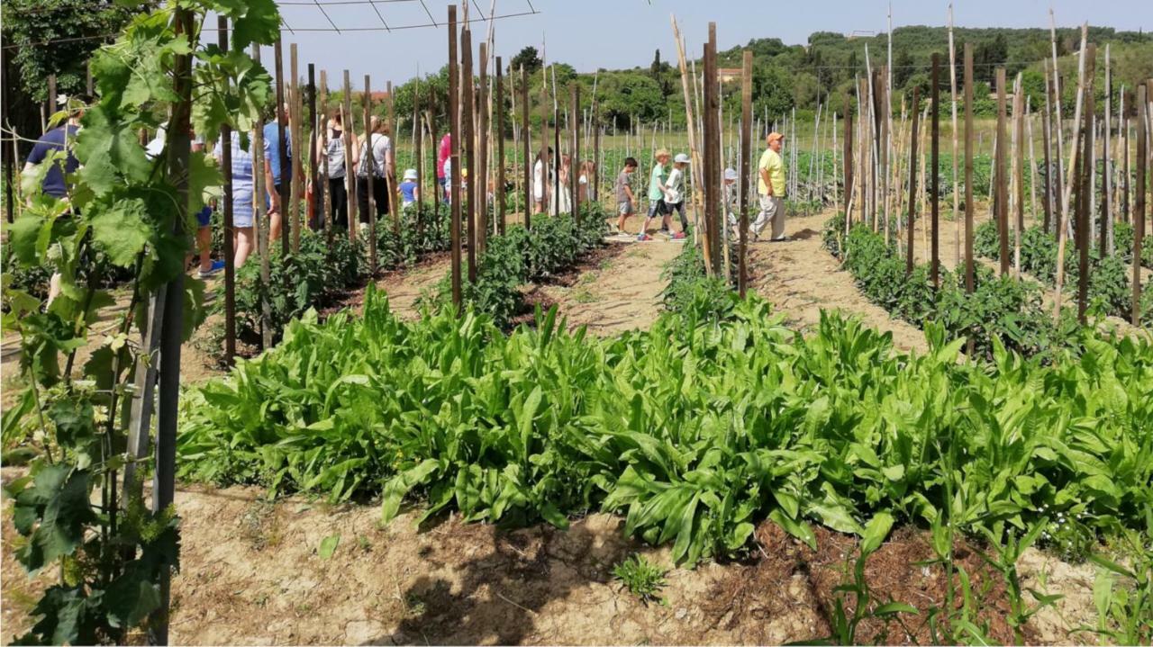 Honigtal Farmland Villa Ájosz Jeórjosz Págon Kültér fotó